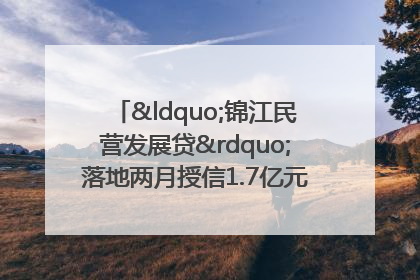 “锦江民营发展贷”落地两月授信1.7亿元，惠及118家民企